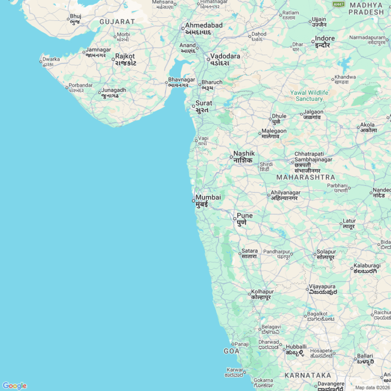 Google Maps review image